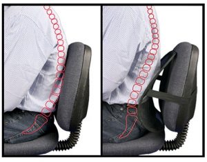 Lumbar Support 300x235
