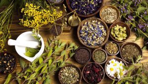 Dry January? How to protect and support your liver! Herbal Medicine 300x170