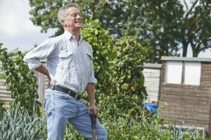 Spring is coming! - Gardening tips for a healthy spine Back Pain Gardening 300x200