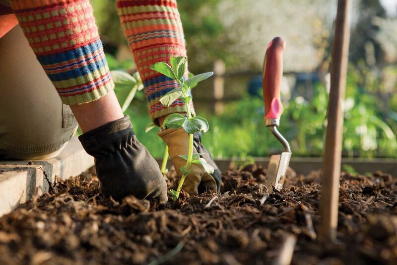 Spring is coming! – Gardening tips for a healthy spine