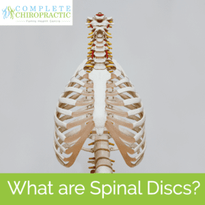 Spinal Discs 300x300