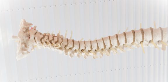 Spine Sideways