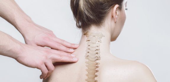 What’s a Facet Joint anyway?