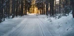 Winter 300x146
