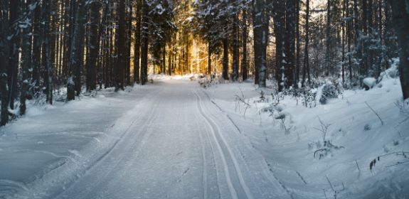 Winter exercise is great, here’s why!